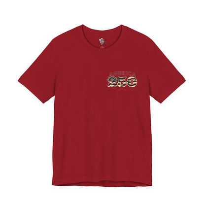 America 250 Years Flag & Fireworks T-Shirt - 2 Sided Print